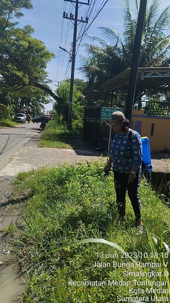 Pembabatan Rumput dan Tanaman Liar Ciptakan LIngkungan Lebih Asri